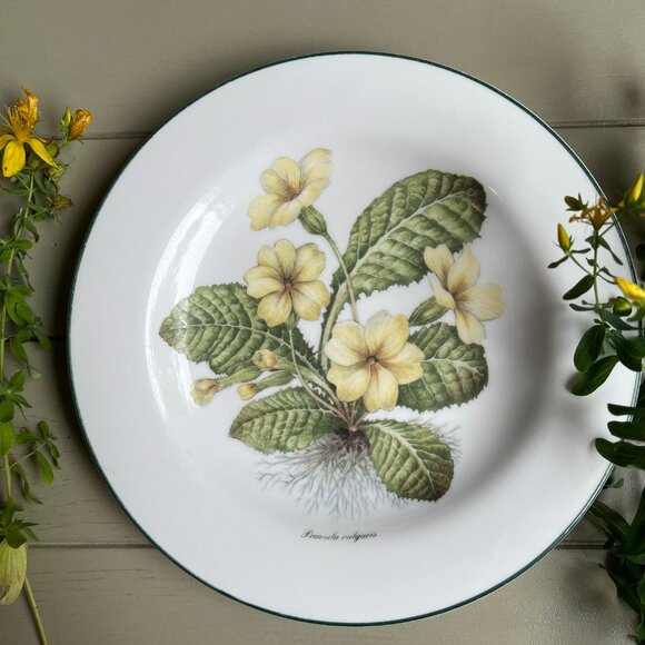 Royal Vale Primula Vulgaris Collector Plate Botanical Pattern Made in England - Picture 9 of 10